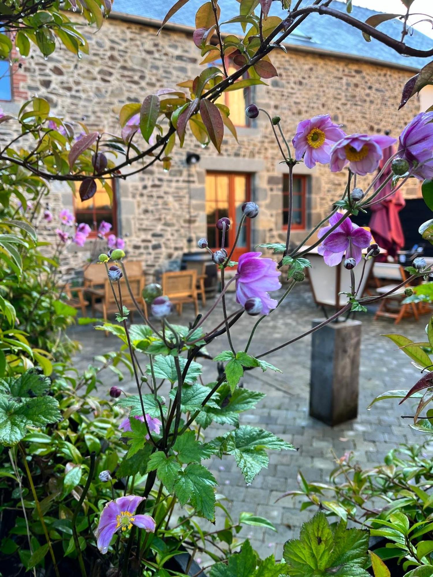 Hotel Domaine Du Tertre Ychot Dol-de-Bretagne Exterior foto